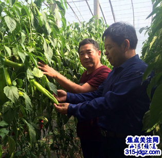 再访“微粒子灌溉孵化器”发明人杨玉茂