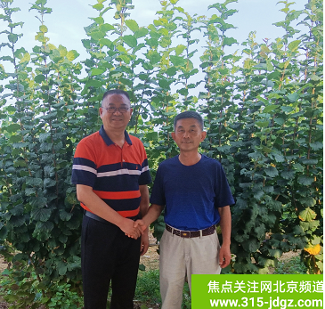 中国林科院林业研究所经济林研究室主任、经济林学科首席专家王贵禧博士